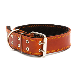 Dog collar 38 mm with double pinned buckle